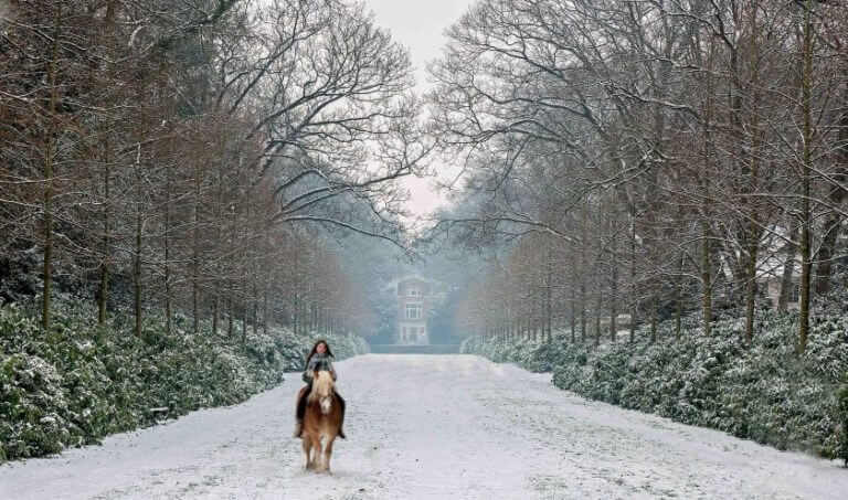 Winter op de Gezichtslaan in Huis ter Heide